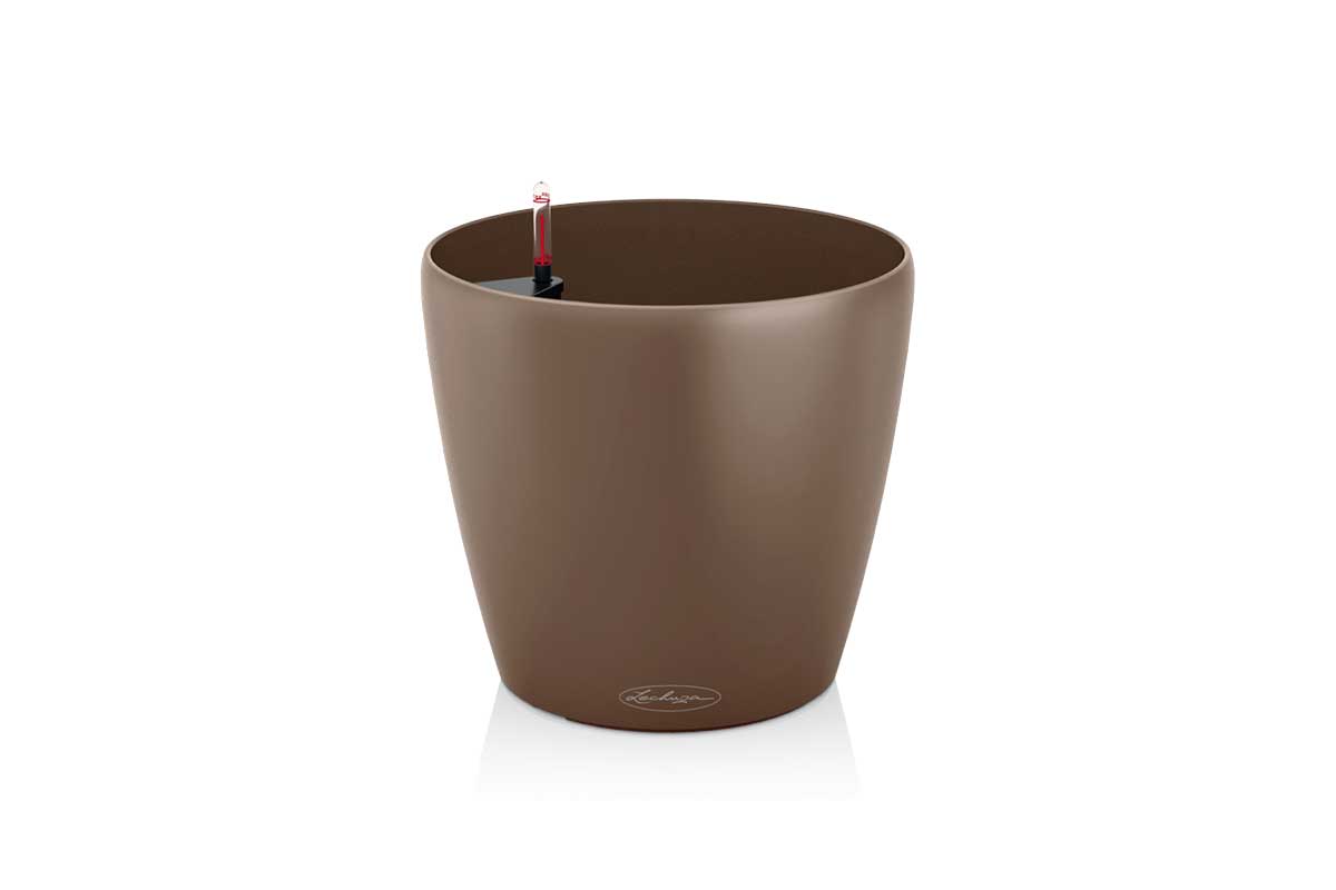 CLASSICO-Color-nutmeg_60