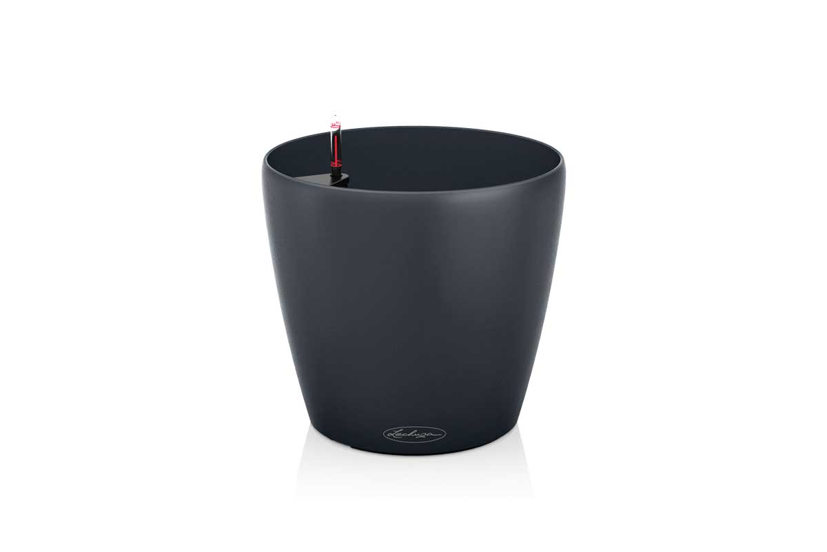 CLASSICO-Color-slate_21