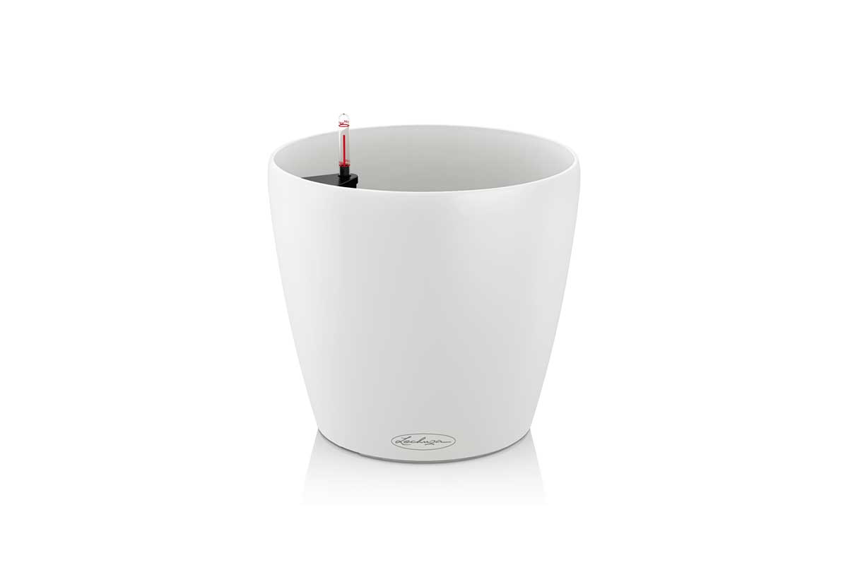 CLASSICO-Color-white_28