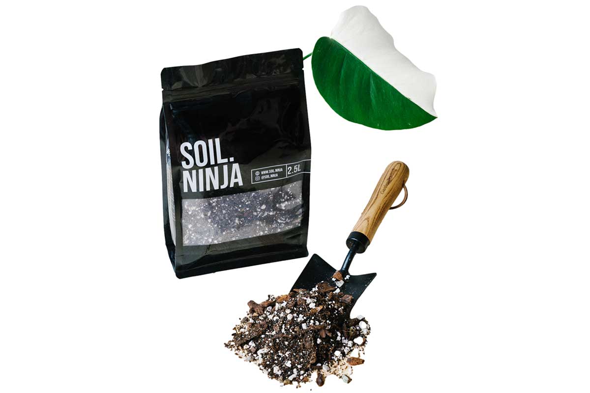 soil ninja premium monstera and philodendron soil mix Soil Ninja® Aroid Premium Blend 10lt – Greenleaf Garden Center
