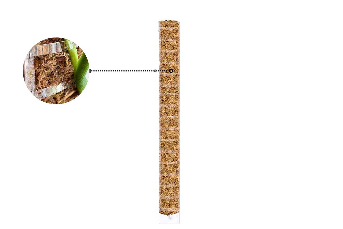 Moss Poles - Front Opening – Greenleaf Garden Center