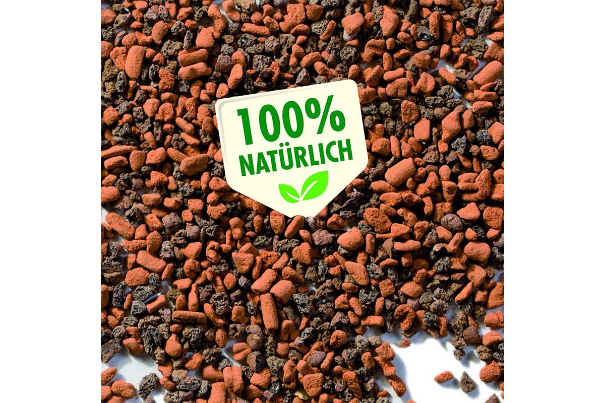 Seramis Cactus&Succulents 2.5lt – Greenleaf Garden Center