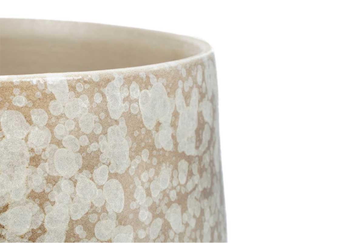 Olivieri Clear Brown