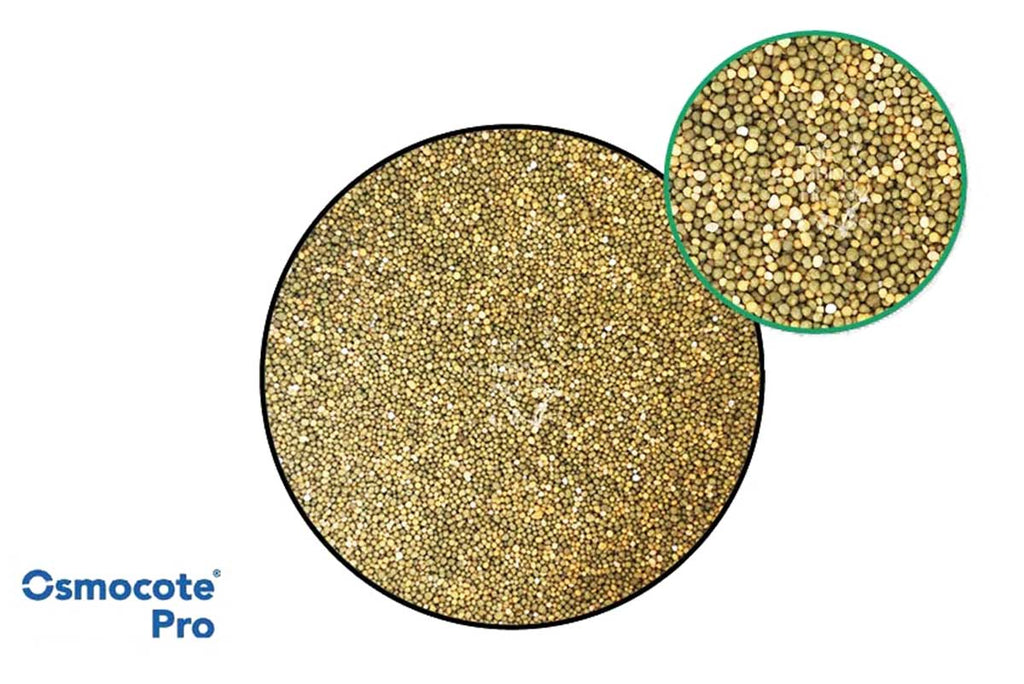 Osmocote Pro (34M) 500gr Greenleaf Garden Center