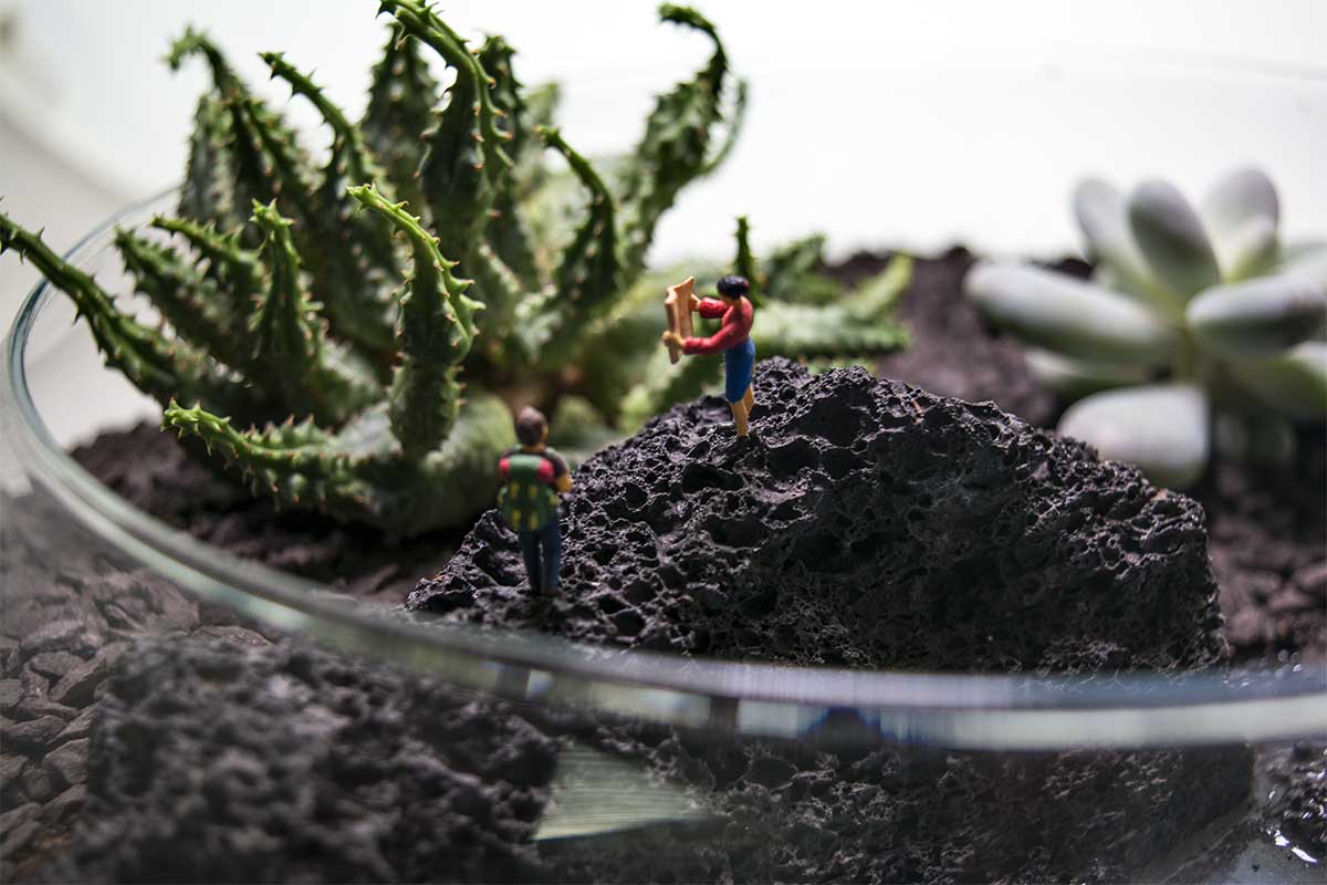 Terrariums