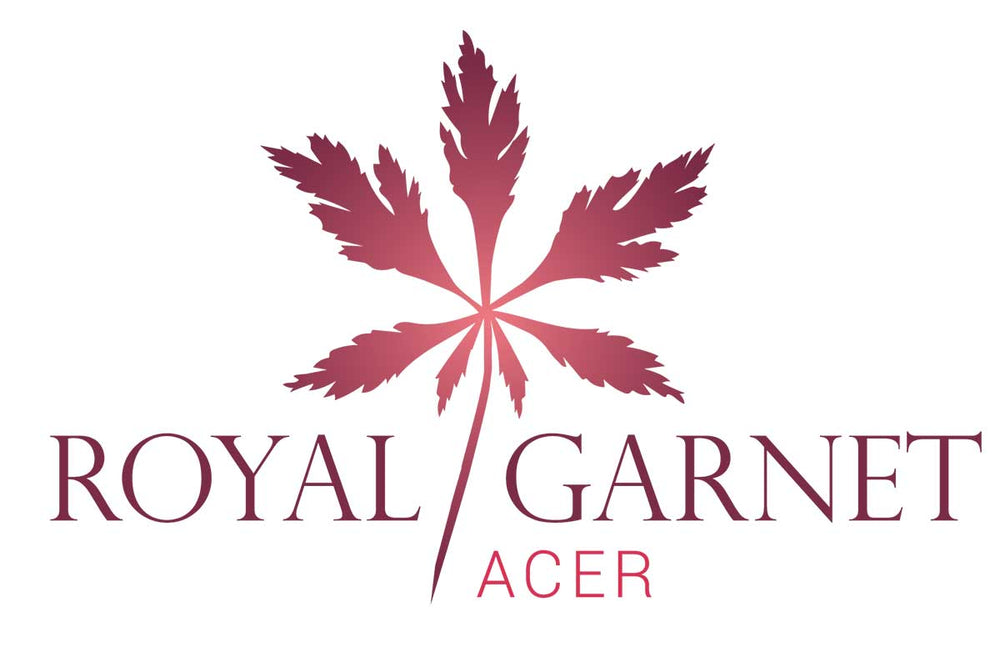 
                  
                    Acer 'Royal Garnet'® 
                  
                