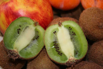 
                  
                    Actinidia 'Solissimo'® 14cm
                  
                