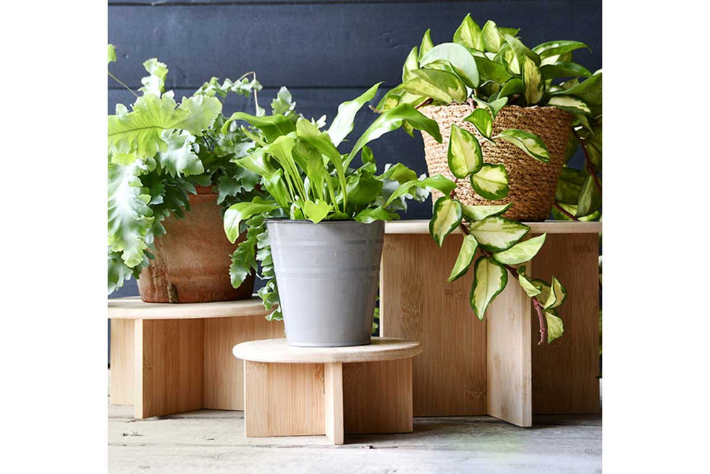 
                  
                    Bamboo plant stand Medium(NG145)
                  
                