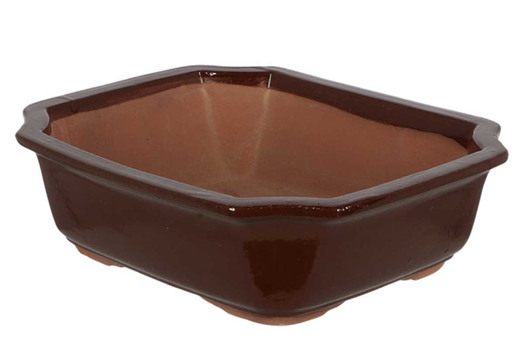 Bonsai pot rectangular large 31cm