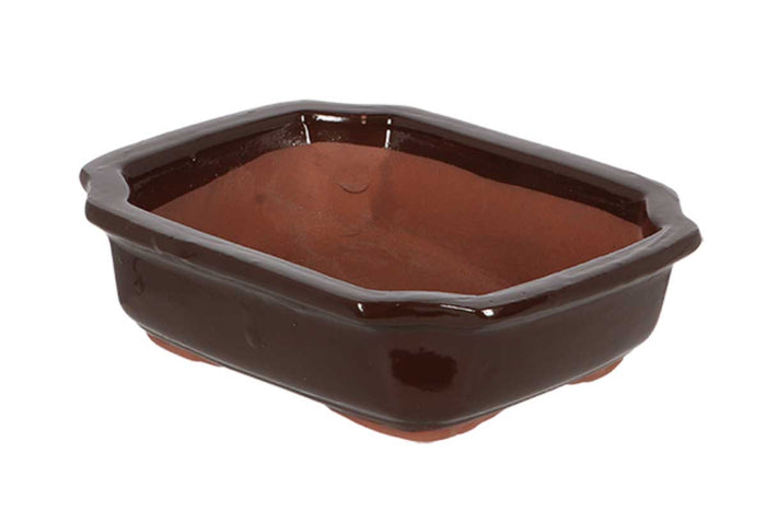 Bonsai pot rectangular small 20cm