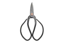 
                  
                    Bonsai shears small(GT295)
                  
                