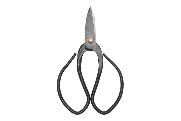 Bonsai shears small