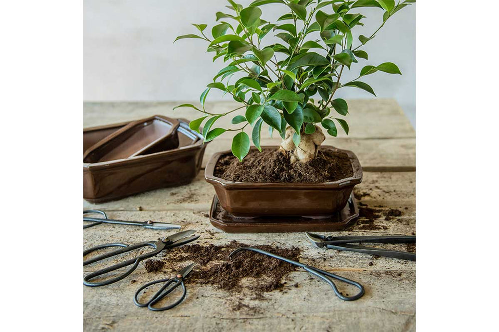 
                  
                    Bonsai twig shears slim(GT297)
                  
                