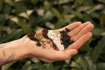 
                  
                    Cacti & Succulent Premium Mix 5lt
                  
                