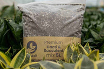 
                  
                    Cacti & Succulent Premium Mix 5lt
                  
                