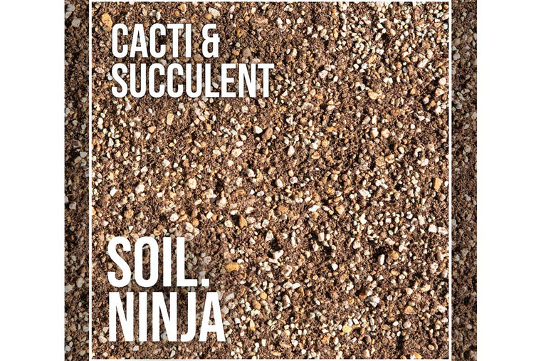 Cacti & Succulent Premium Blend 2.5lt