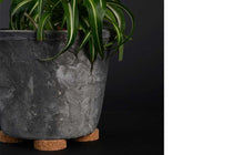 
                  
                    Cork pot feet (4-set)(BPH166)
                  
                