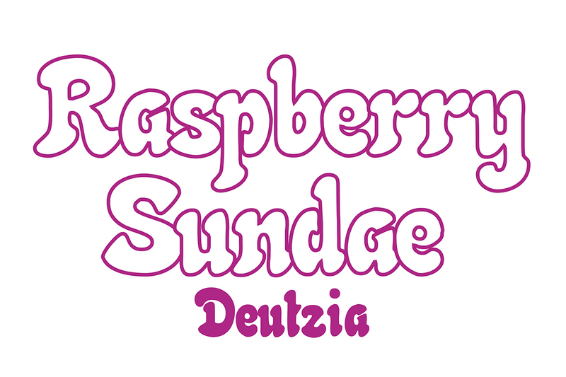 Deutzia 'Raspberry Sundae'®