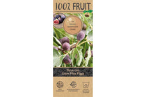 
                  
                    Ficus 'Little Miss Figgy'®
                  
                
