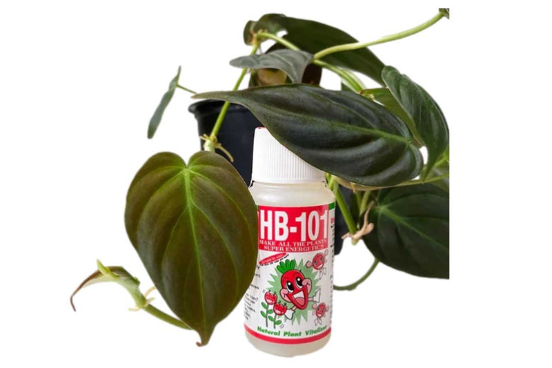 HB-101 -Organic Plant Vitalizer