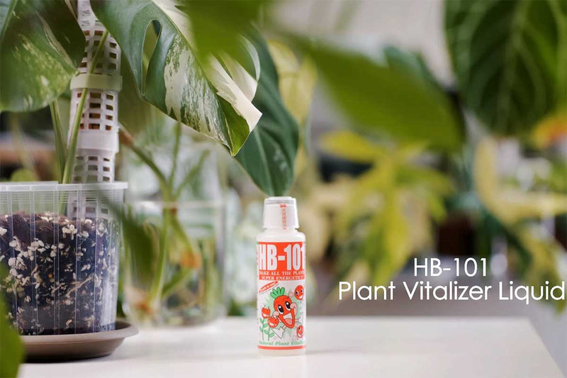 HB-101 -Organic Plant Vitalizer