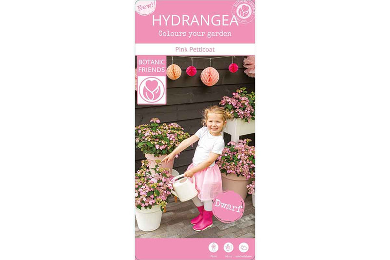 Hydrangea 'Pink Petticoat'® 