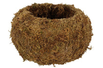 
                  
                    Kokedama ball Large(JP006)
                  
                