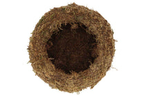 
                  
                    Kokedama ball Large(JP006)
                  
                