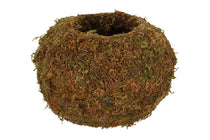 
                  
                    Kokedama ball Medium(JP005)
                  
                