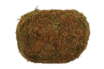 
                  
                    Kokedama ball Medium(JP005)
                  
                