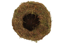 
                  
                    Kokedama ball Medium(JP005)
                  
                