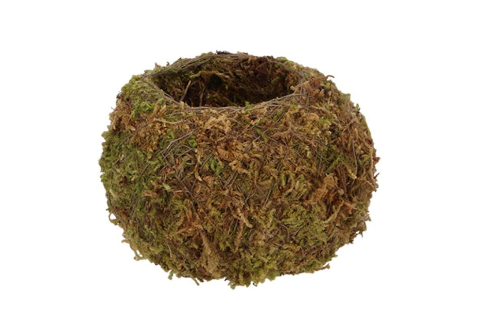 
                  
                    Kokedama ball Small(JP004)
                  
                