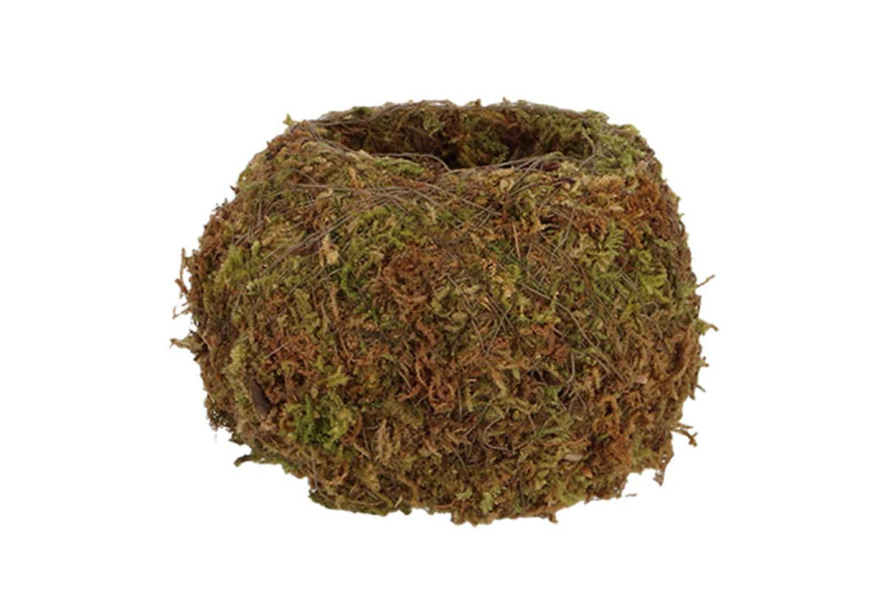 
                  
                    Kokedama ball Small(JP004)
                  
                