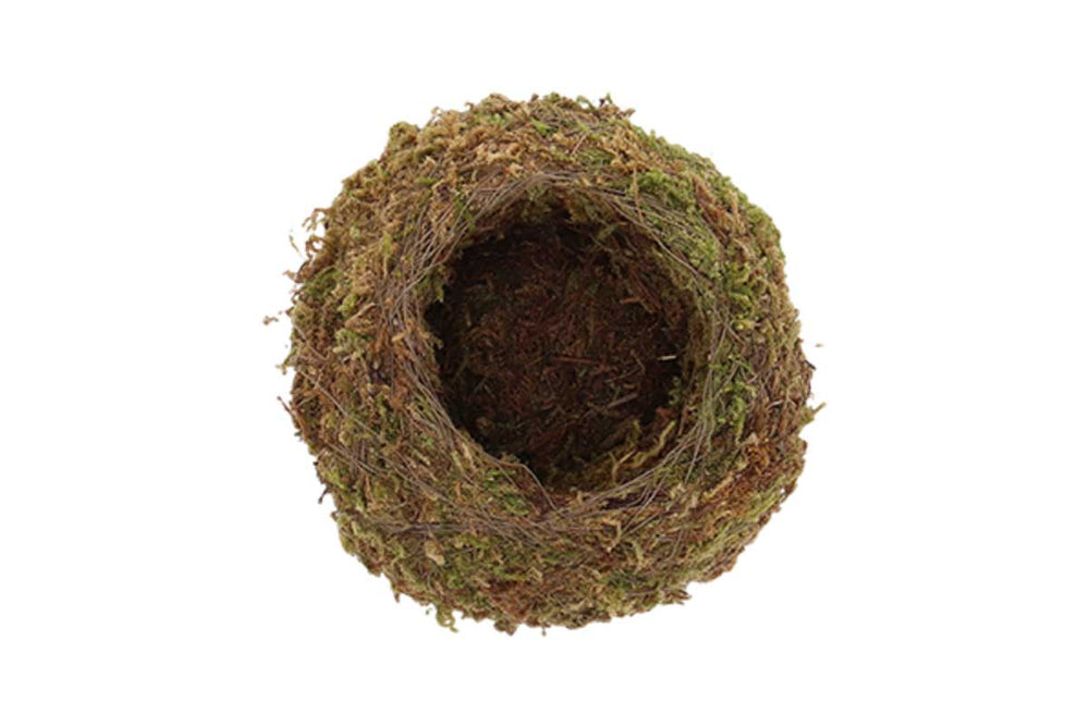 
                  
                    Kokedama ball Small(JP004)
                  
                