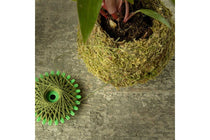 
                  
                    Kokedama twine(JP002)
                  
                