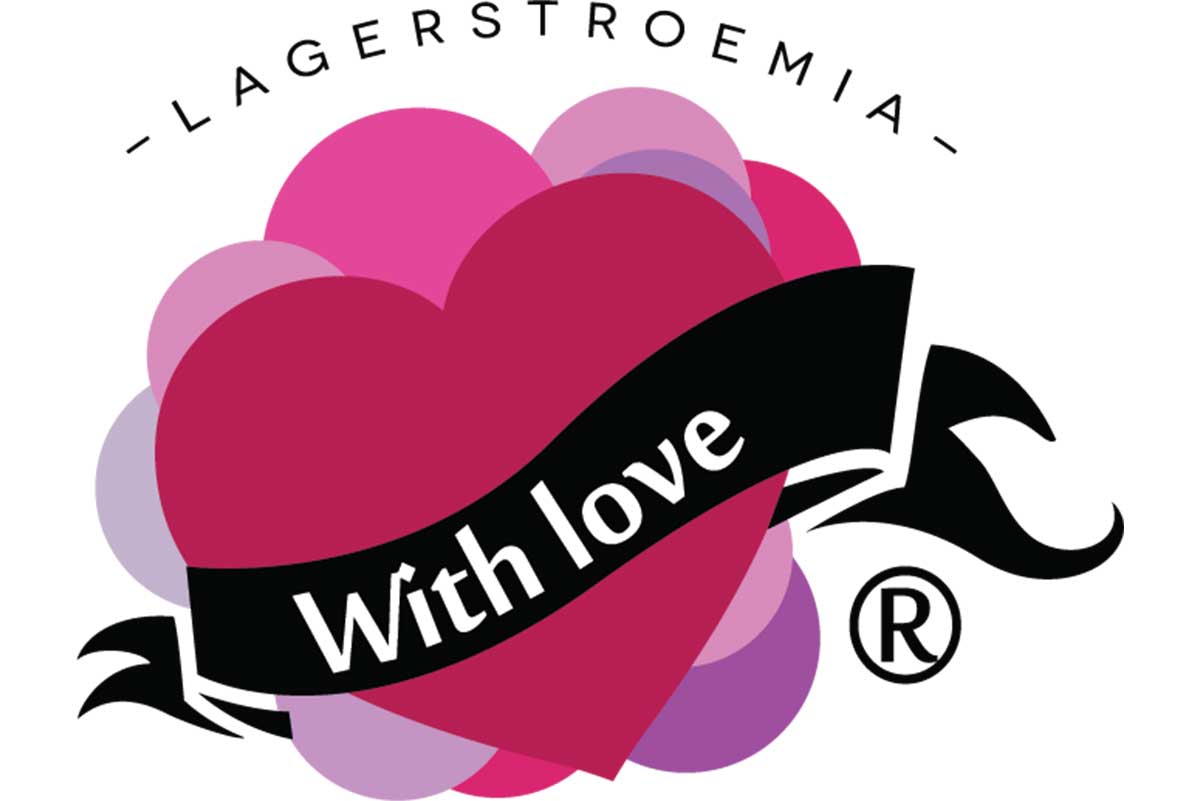 Lagerstroemia 'With Love'®