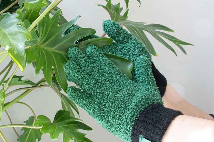 Leaf Love Gloves -Γάντια καθαρισμού