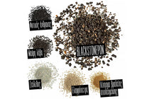 
                  
                    Lechuza BlackstonePon
                  
                
