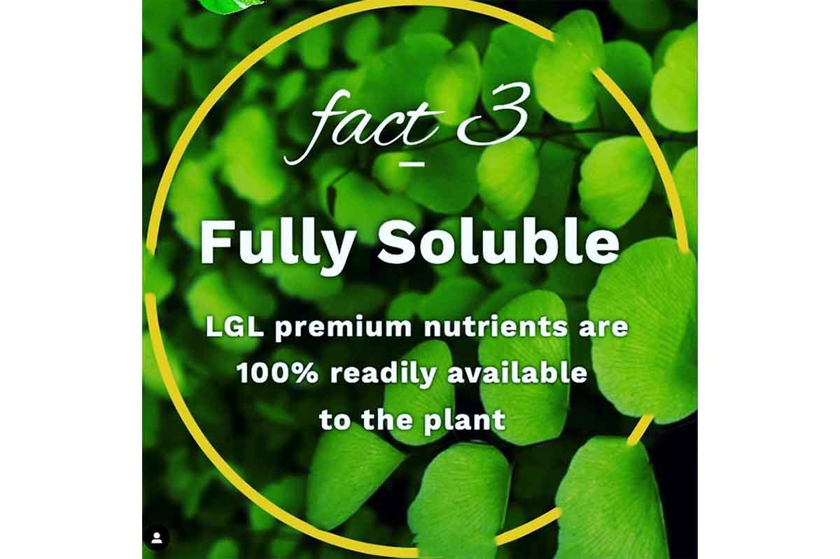 liquid gold leaf plant fertilizer Liquid Gold Leaf® 250ml – Greenleaf Garden Center