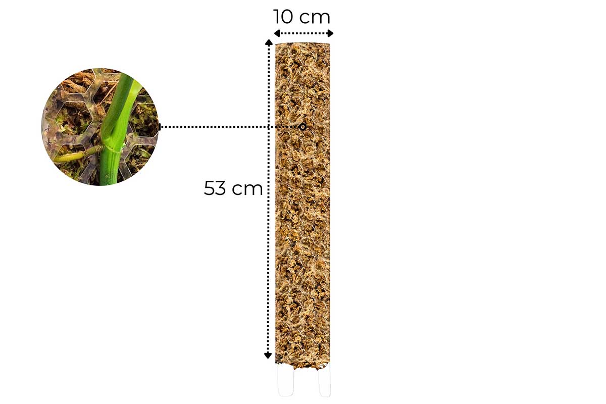 Moss Poles – Greenleaf Garden Center