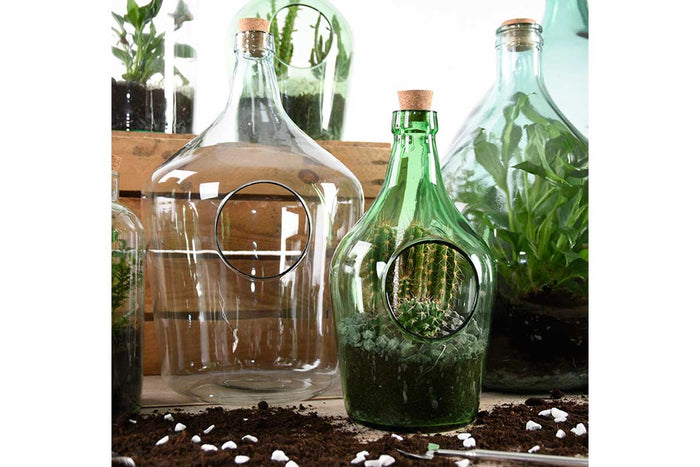 Open terrarium bottle 10lt (AGG85)