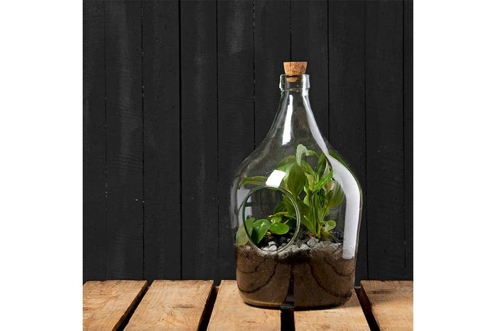 Open terrarium bottle 5lt (AGG84)