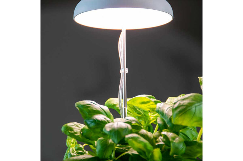 Plant grow lamp