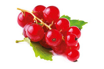 
                  
                    Ribes 'Jonkheer van Tets' bio 
                  
                