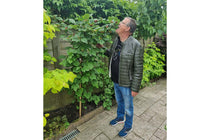 
                  
                    Rubus 'Raspberry Tower'
                  
                