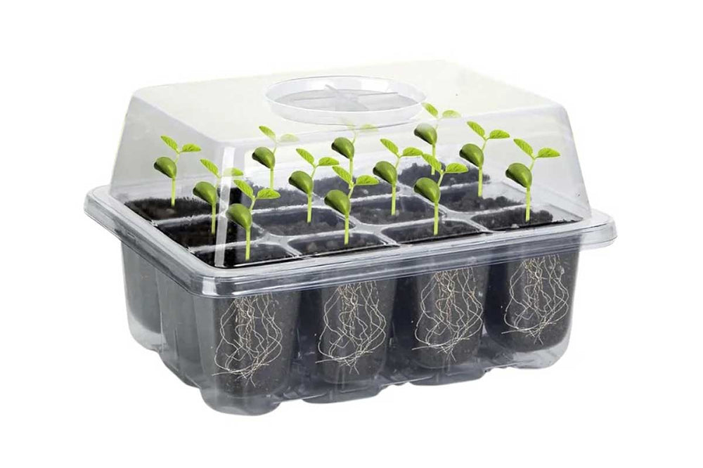 PlantScraper Seed Starter–Propagation Box S with 12 cells and a clear dome