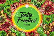 
                  
                    Sempervivum Toetie Froeties® Mojito 
                  
                