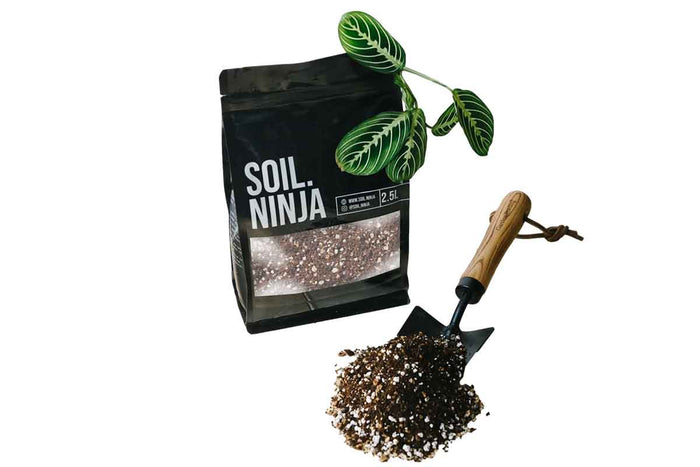 Soil Ninja® Calathea Premium Blend 2.5lt