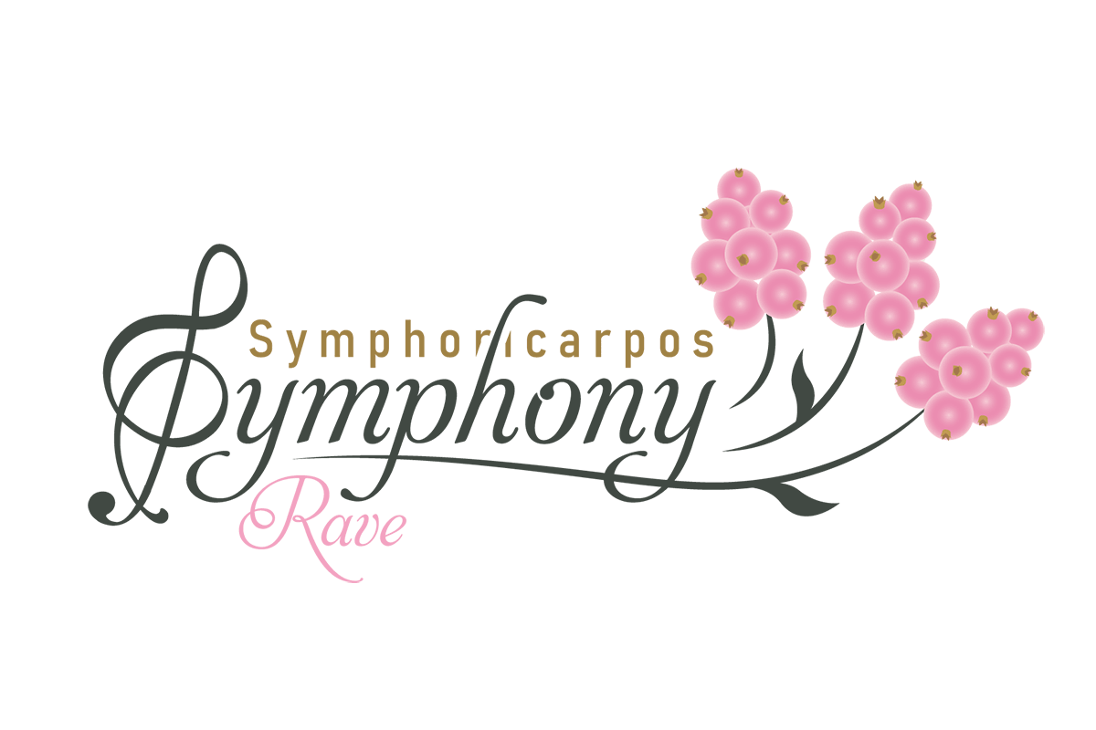 Symphoricarpos 'Symphony Rave'® 19cm