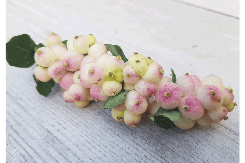 Symphoricarpos 'Symphony Rave'® 19cm